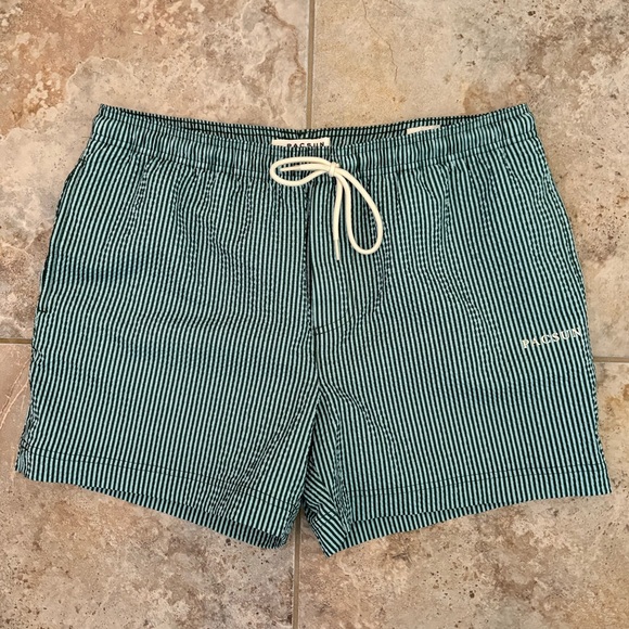 PacSun Other - PACSUN Aqua Striped Seersucker Swim Trunks Shorts Men’s Large Mesh Short Lined